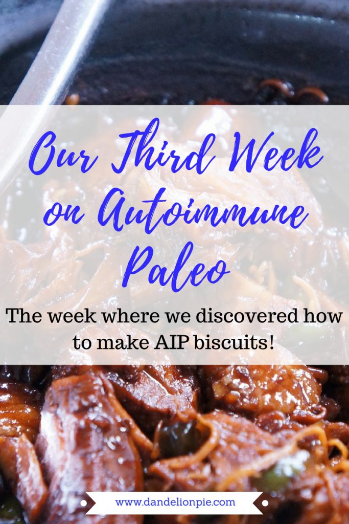 Autoimmune Paleo: Week 3 #aip #autoimmune #paleo 