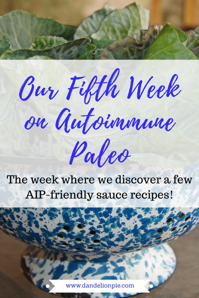 Autoimme Paleo: Week 5