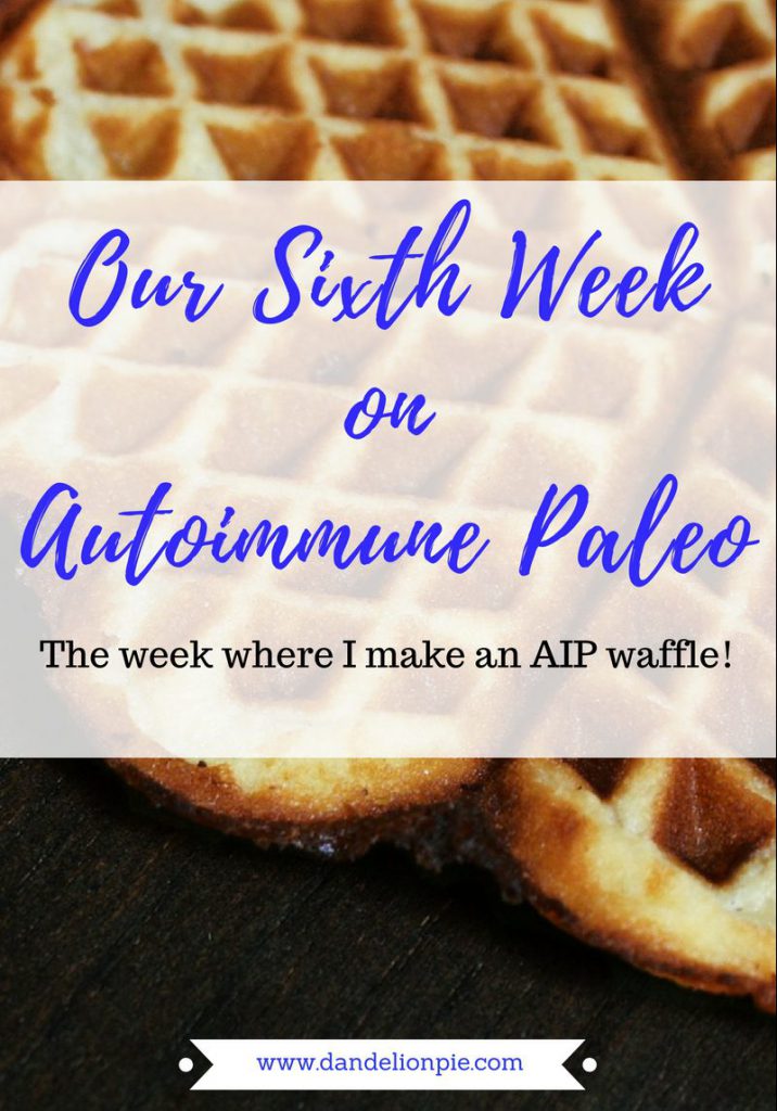 Autoimmune Paleo Week 6 #aip #autoimmune #paleo