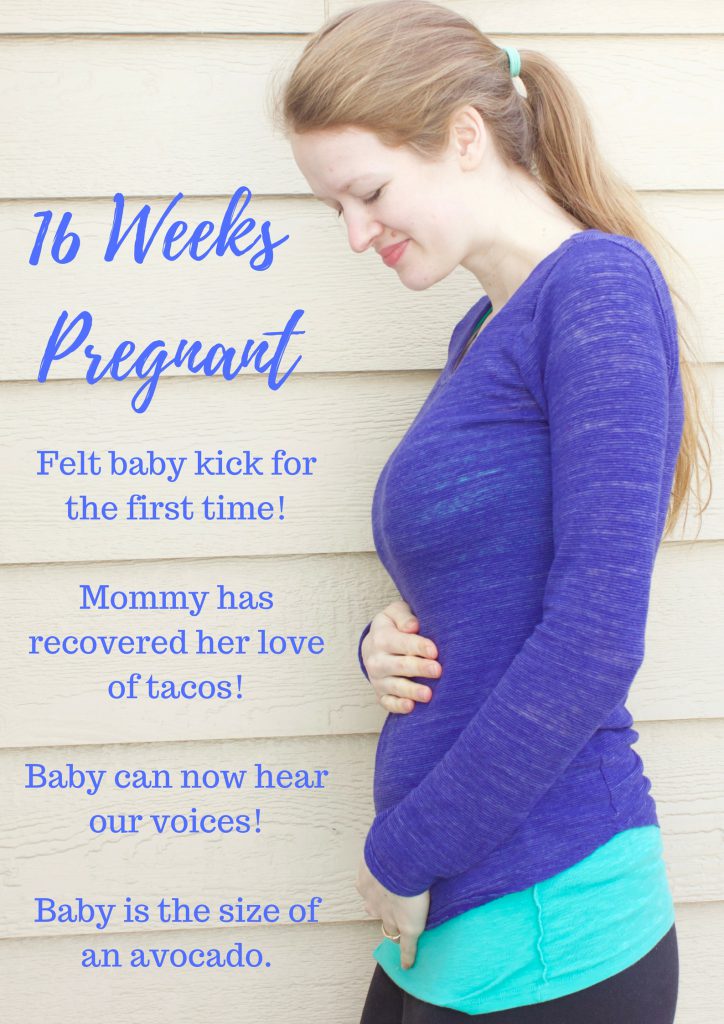 16 Weeks Pregnant #pregnant #sixteenweekspregnant #bumpdate