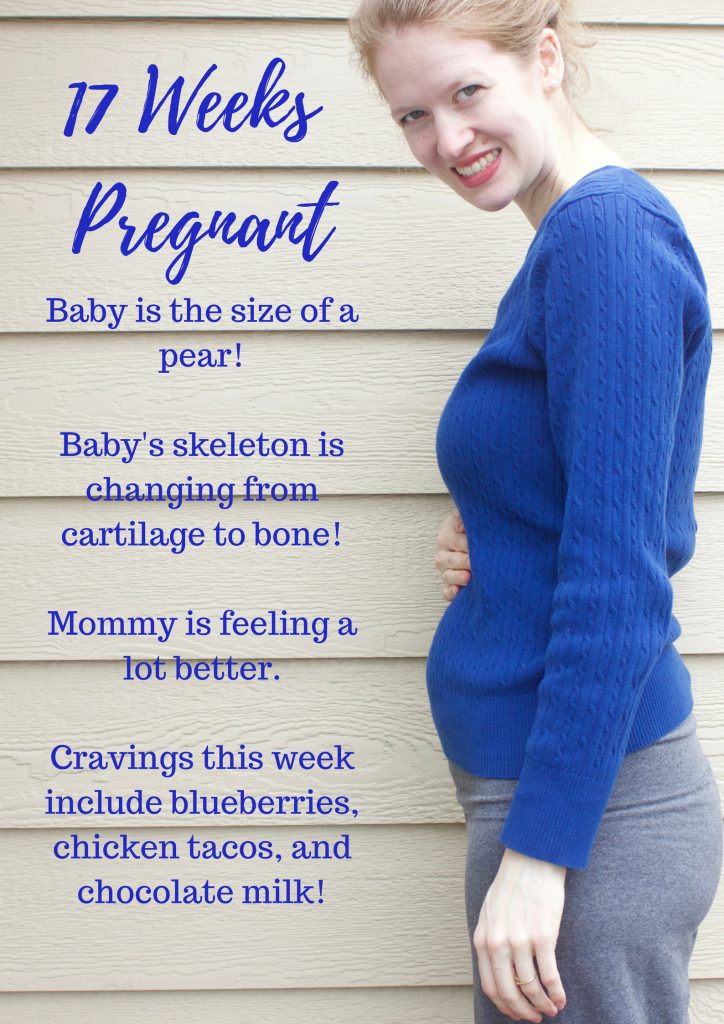 113 Weeks Pregnant!-3
