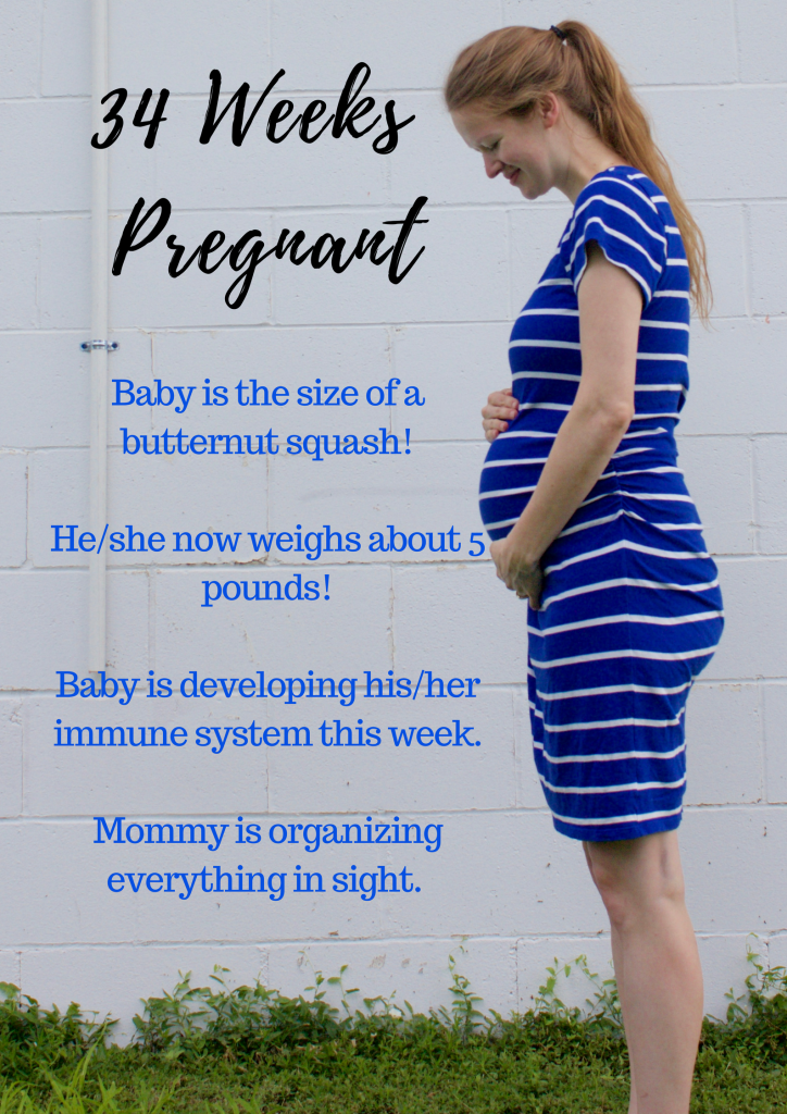 34 Week Bumpdate