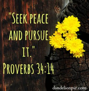I am learning that peace is something I can actively pursue rather than quietly wish for. Read more at dandelionpie.com!