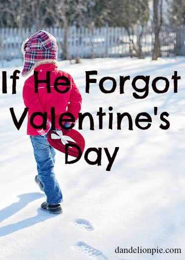If He Forgot Valentine's Day {Or your Birthday or Mother's Day}