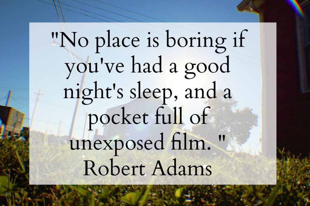 Robert Adams #quote // Dandelion Pie