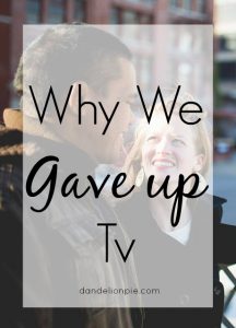 Why We Gave Up Tv / Dandelion Pie