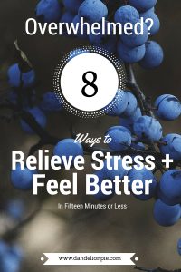 I love these unconventional ideas for relieving stress!! Overwhelmed? 10 Ways to Cope with Stress, and Feel Better. When I do feel overwhelmed it is too easy for my flip on Netflix or get on social media without taking the time to really address the issue. We all go through times were we are overwhelmed for one reason or another. If today is that day for you, take a deep breath, you are going to make it through this. I have had to take a step back, collect my breath, and simplify so that I can regain that head space that makes me sane. Here are some steps you can take to when you feel like everything is pressing in and you can't breathe. #blog #inspire #ultrablog #blogger #overwhelmed #stress