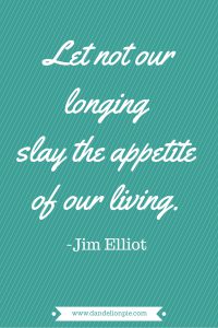 Love this quote, and this blog!! #jimelliot #quote #dandelionpie #goals